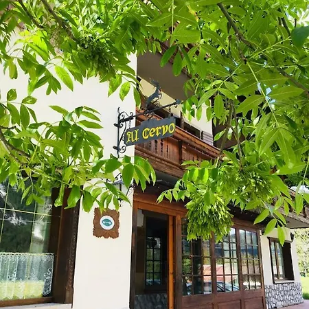 Hotel Al Cervo - Stabiziane