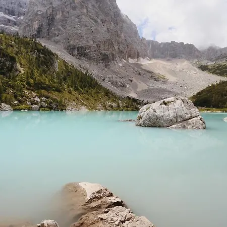 Al Cervo -