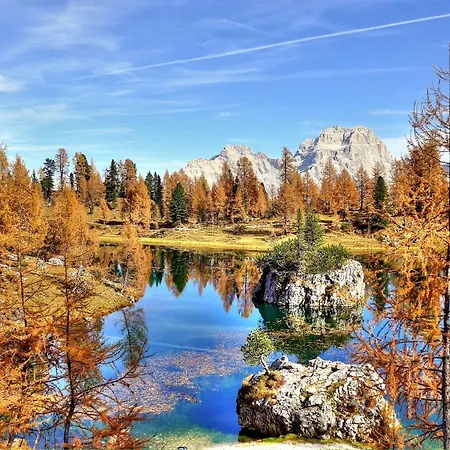 Al Cervo -